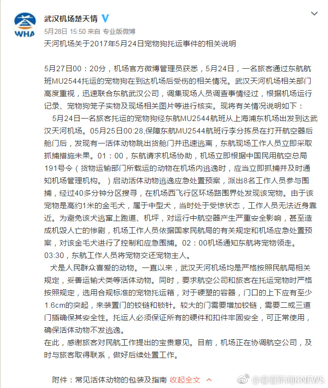 色情 动漫 网站