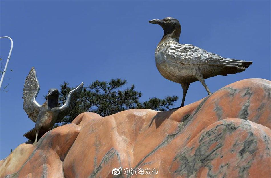 下载色天堂
