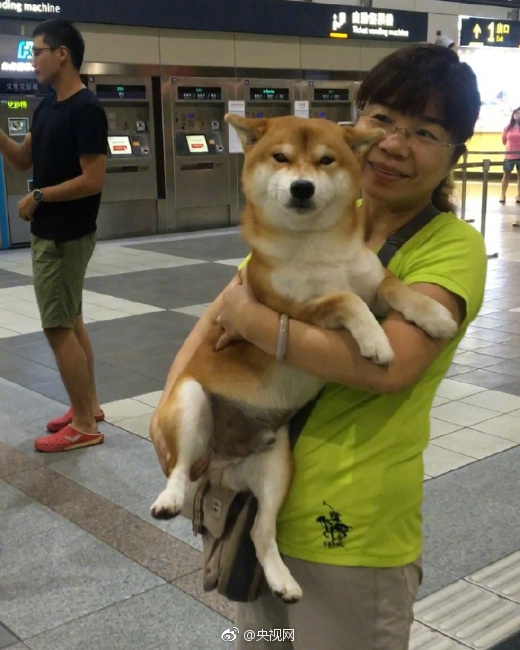 亚洲 色情