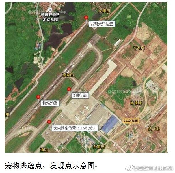 国产操逼视频