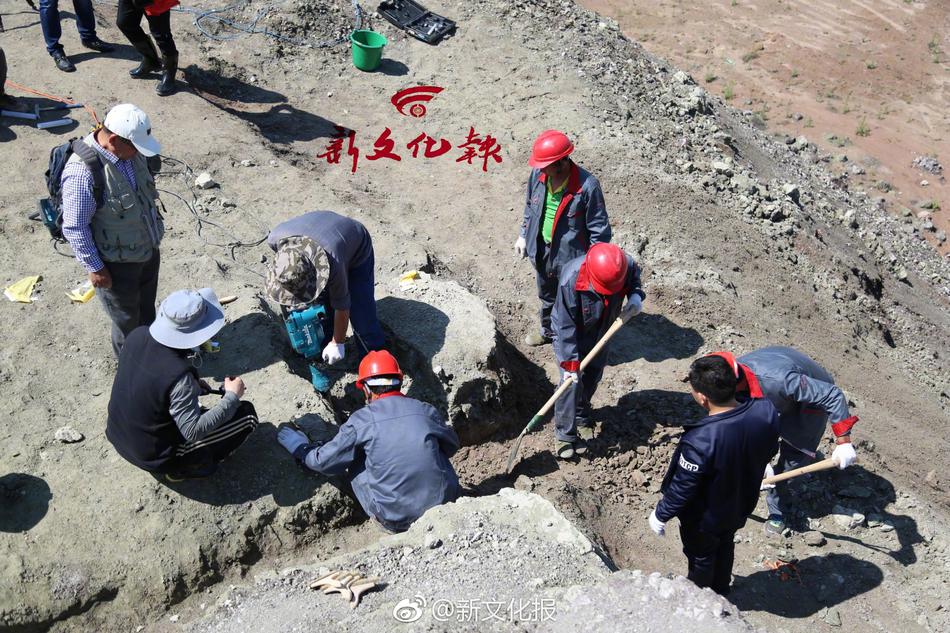 A黄色视频在线观看