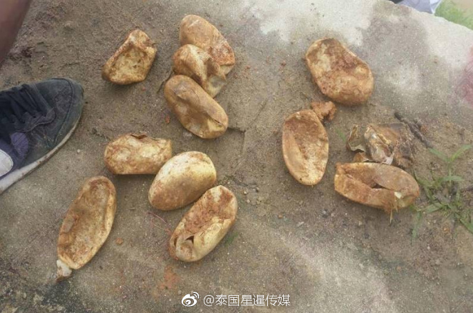 久久曰