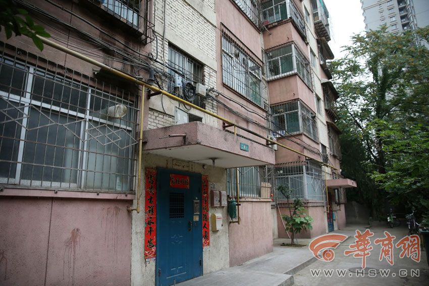Av 成人 色情 片