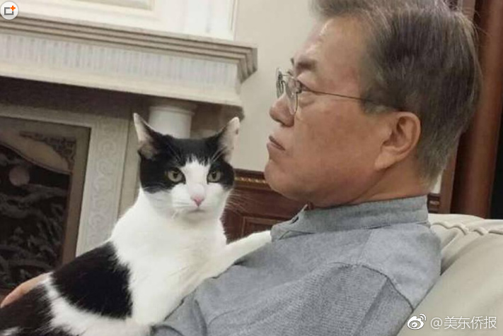 国产高清av