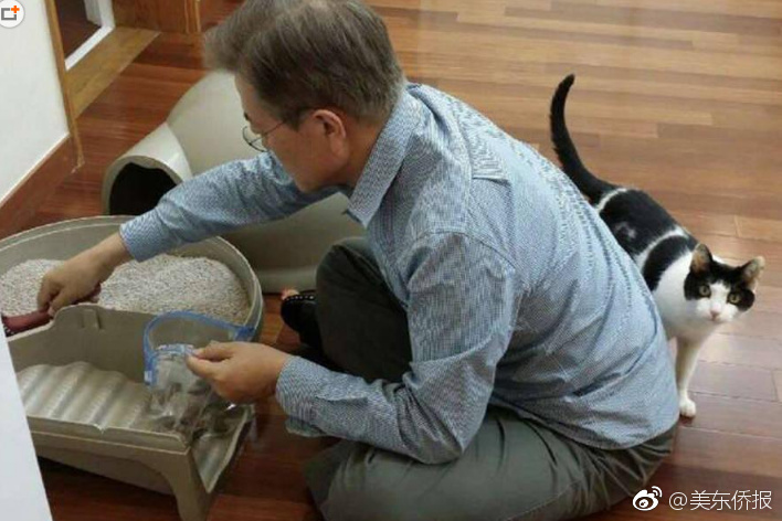 国产精品秘 入口传媒小说