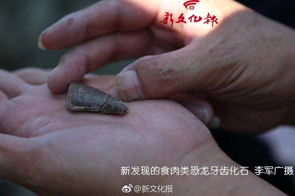 国产日产精品久久久久兰花