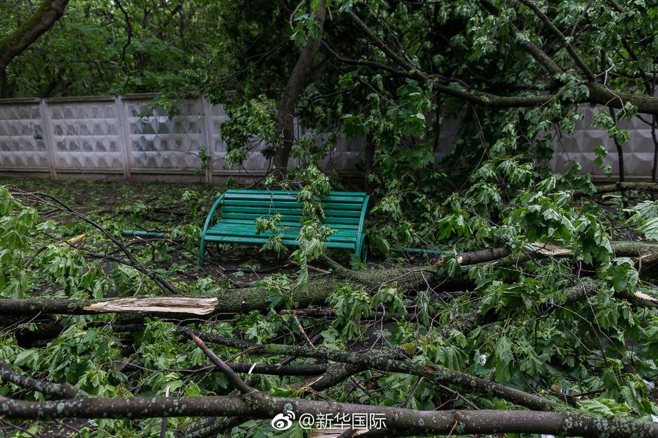 跆拳道教练