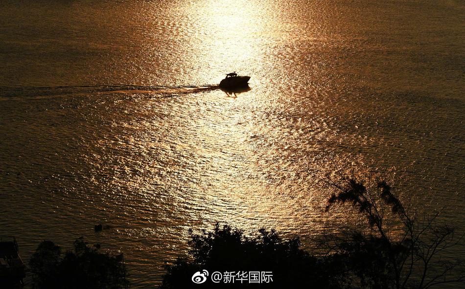 免费黄色Av簧片