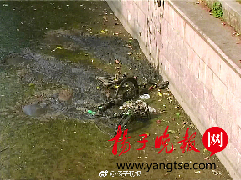 濱小步