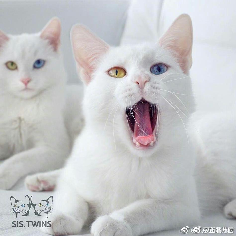 亚洲电影一区二区