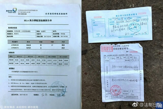 在线不卡AV