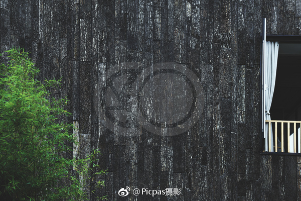 黄色网站在线免费