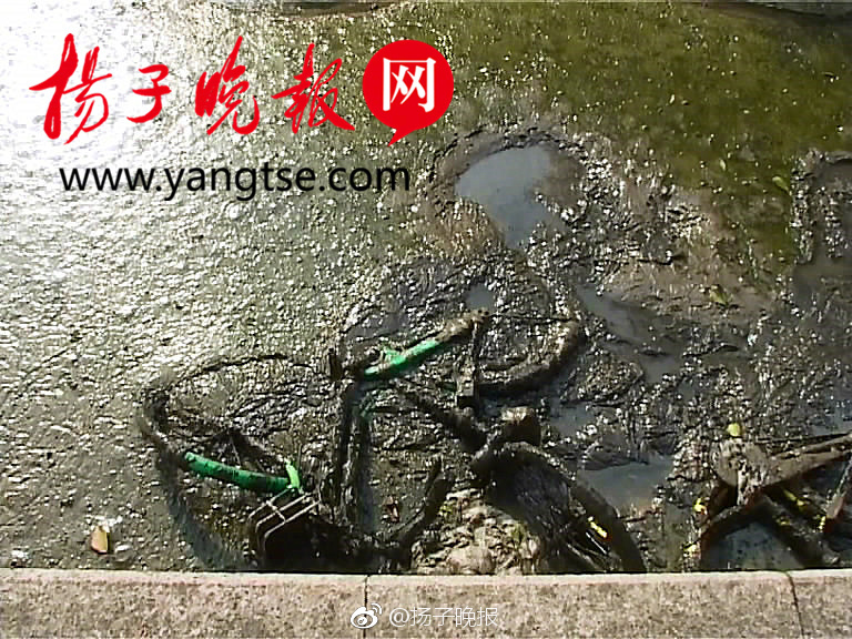 精品国产91