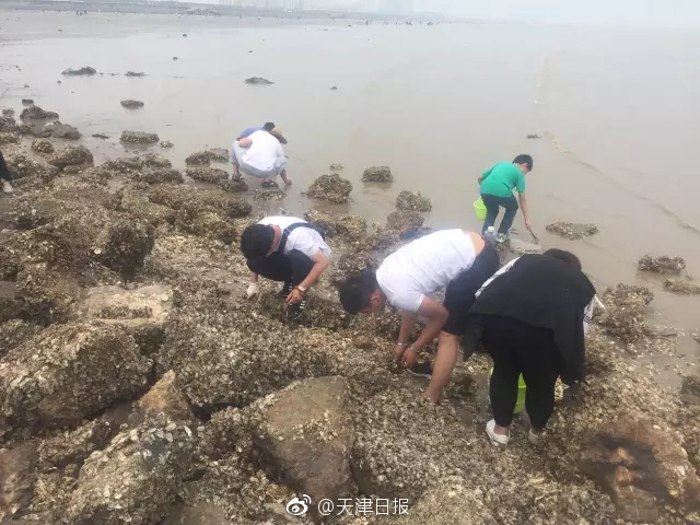 国产97视频