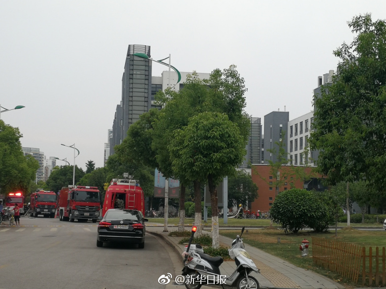 穿越火线关小雨拔萝卜
