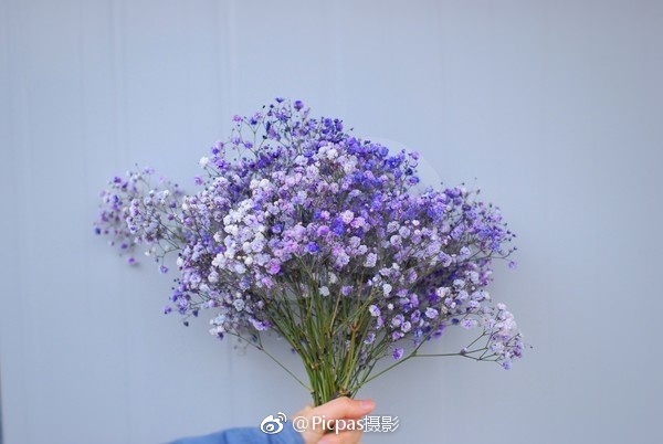 超级毛片