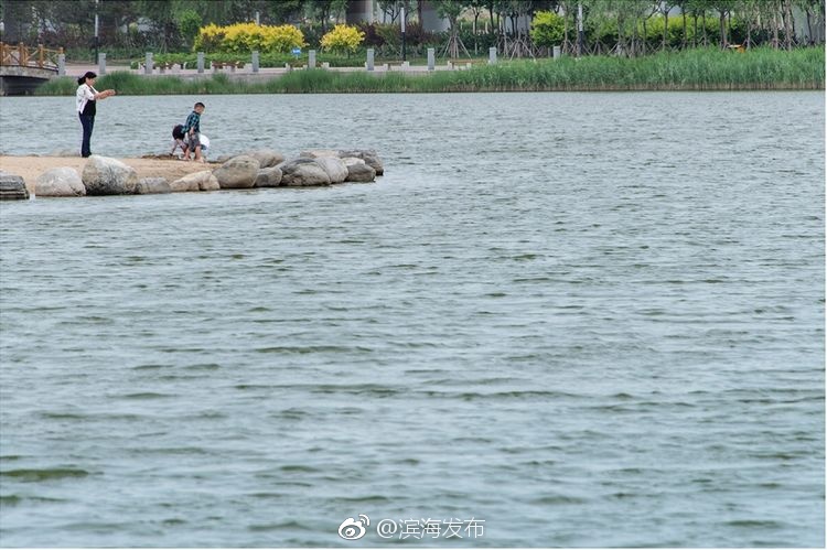 在线 免费 色情