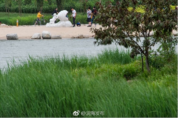 国产黄色在线观看