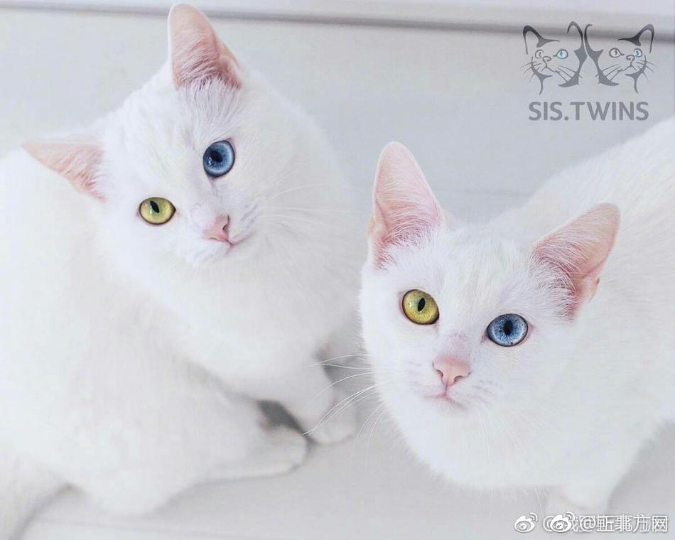 多人操老太太