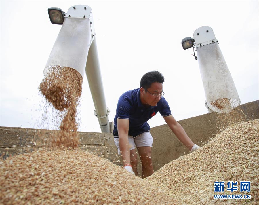 丰满浓密大荫道BBWBBB