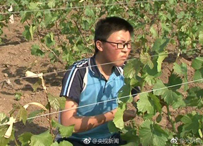 他撕开我奶罩揉吮我奶头A片