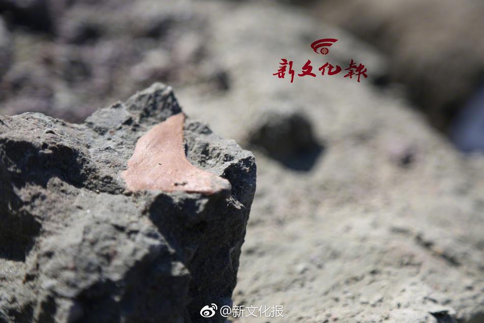 操逼小软件