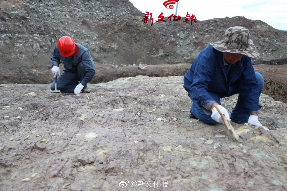 中文字幕无码肏屄视频