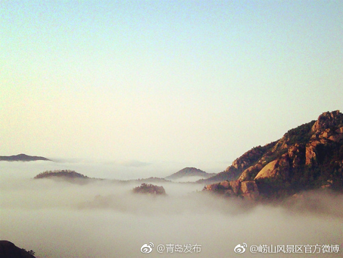 多毛Treeoprn熟妇多毛Y