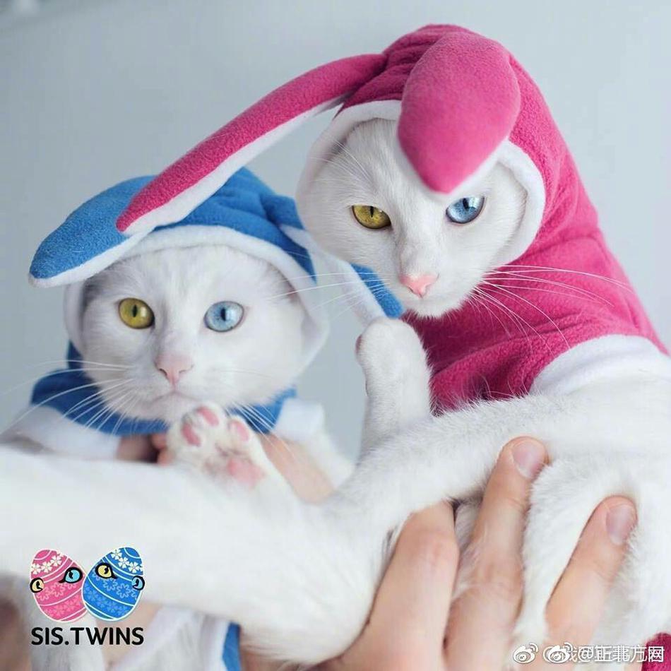 欧美黑人巨大Xxxxxxx
