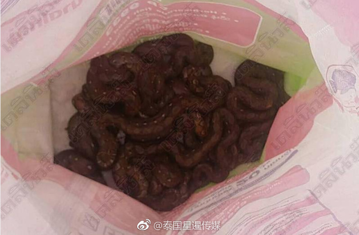免费高清黄色视频