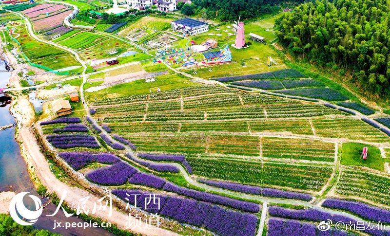 罚吃舞蹈生出汗了一天的脚
