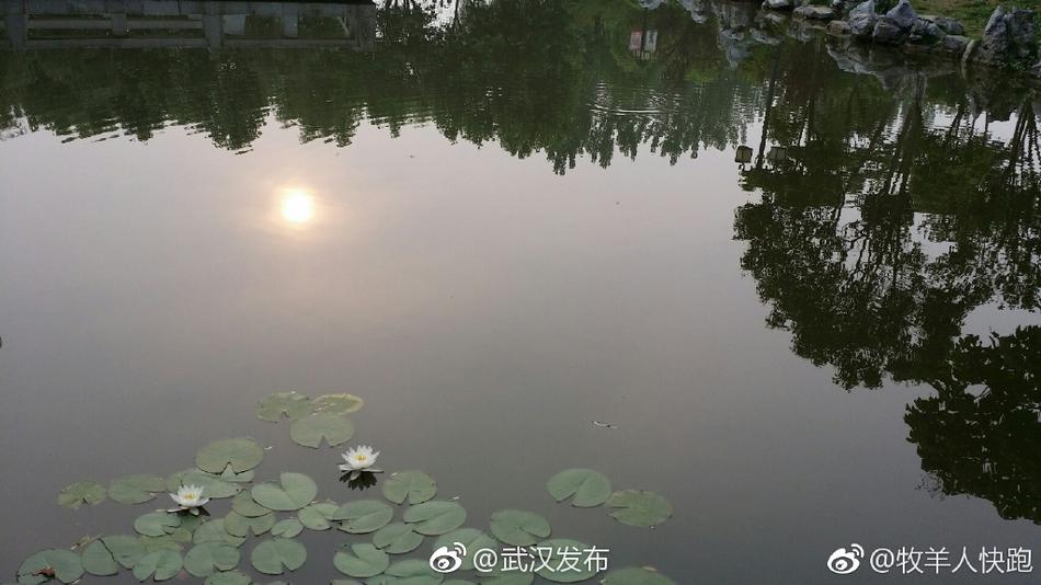 金银湖人口_金银湖