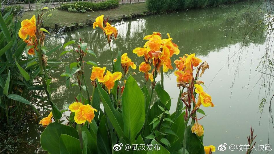 中国人妻色情片