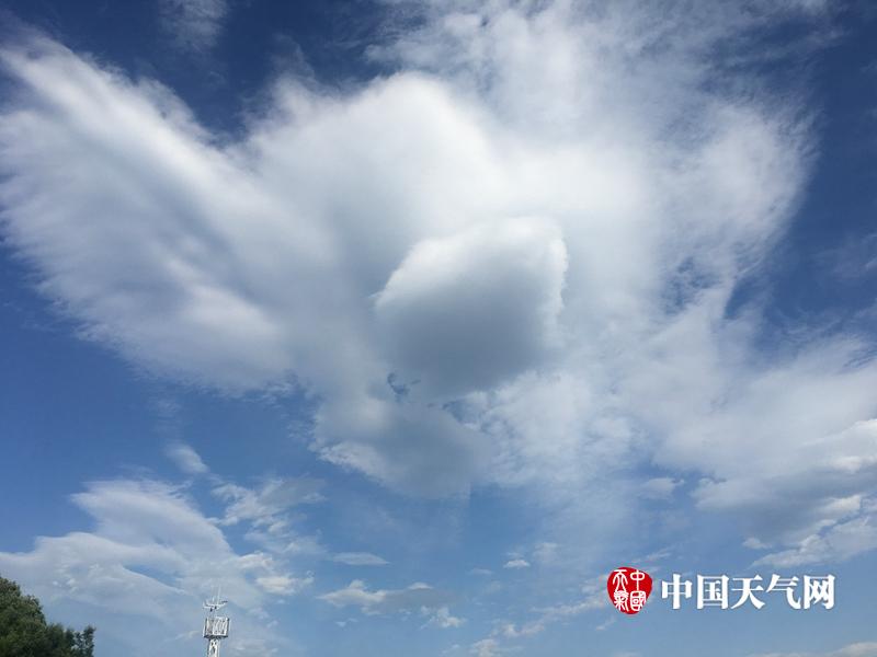 十大黄冈网站crm