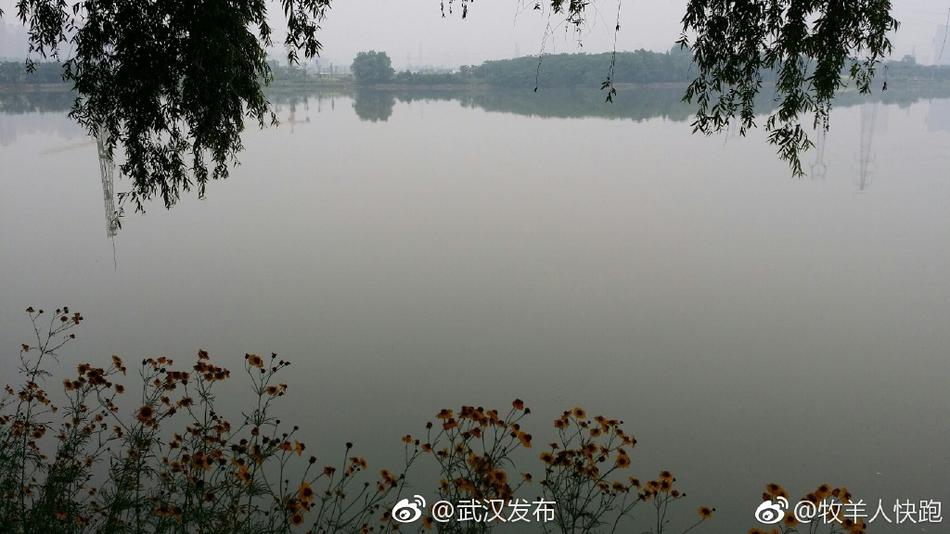洗澡做愛