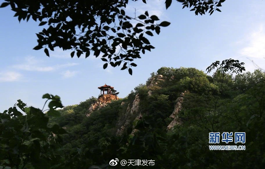 苍井空亚洲一线产区二线视频在线观看