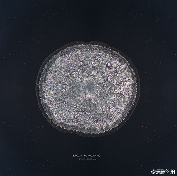 无码不卡黄色网站