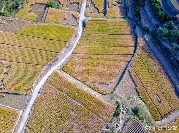 白洁被五人糟蹋一夜n次