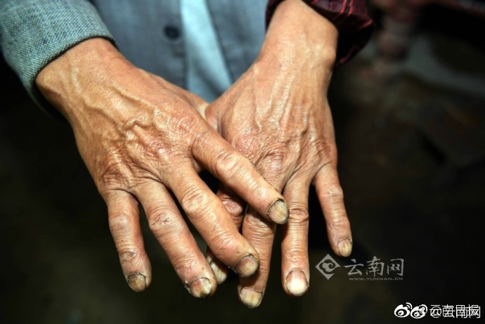 天堂中文在线资源