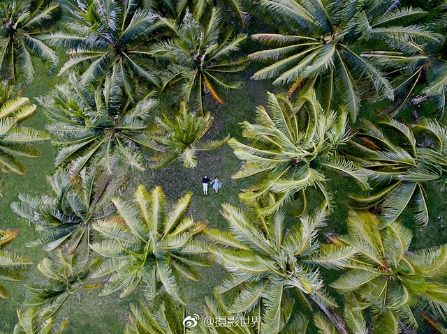 爱妻艺免费观看视频一区二区三区