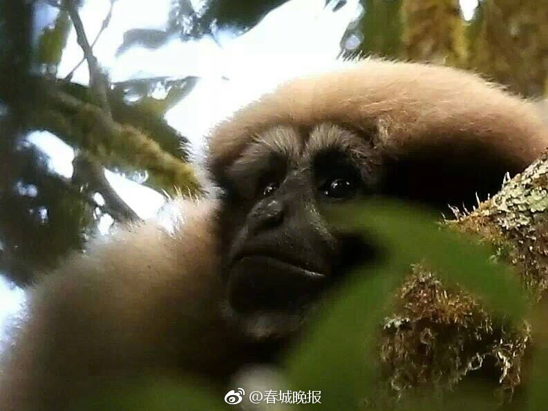 Fucking丰满大白屁股