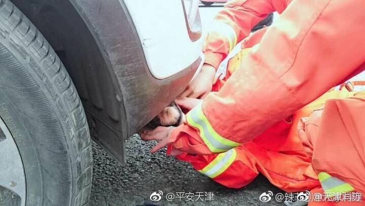 无码十免费