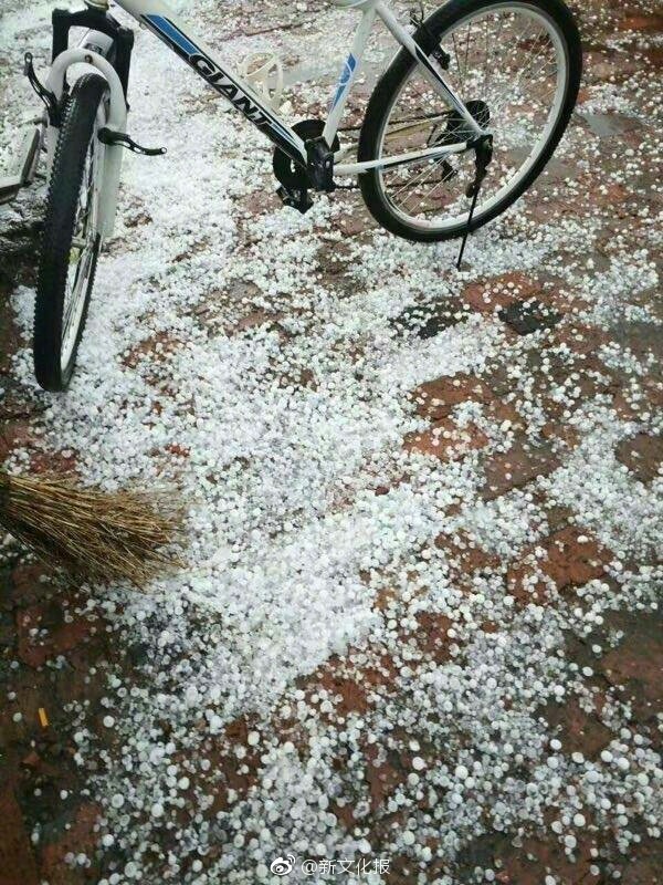 人与拘一级A片