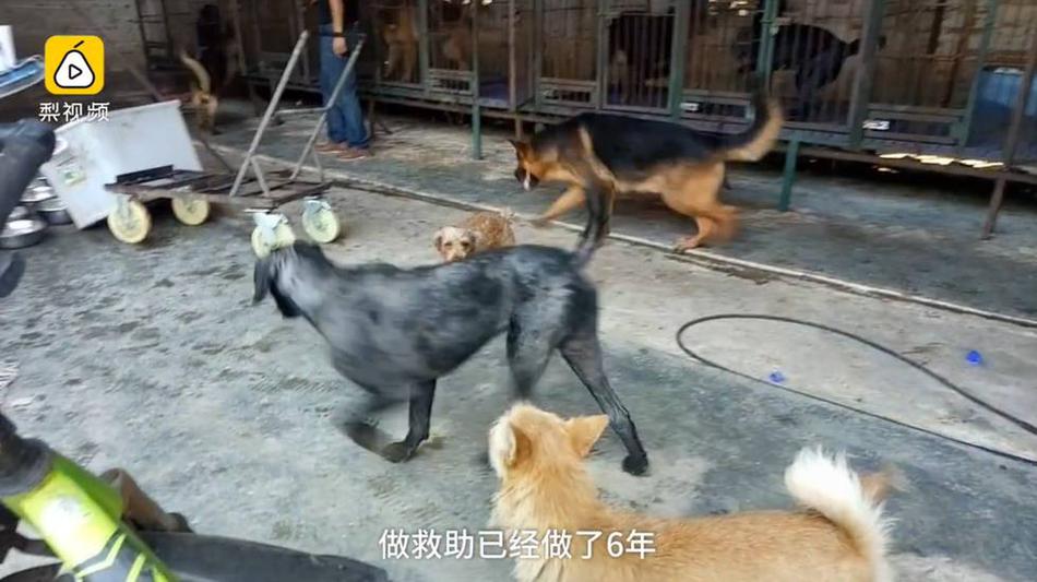 操人视频