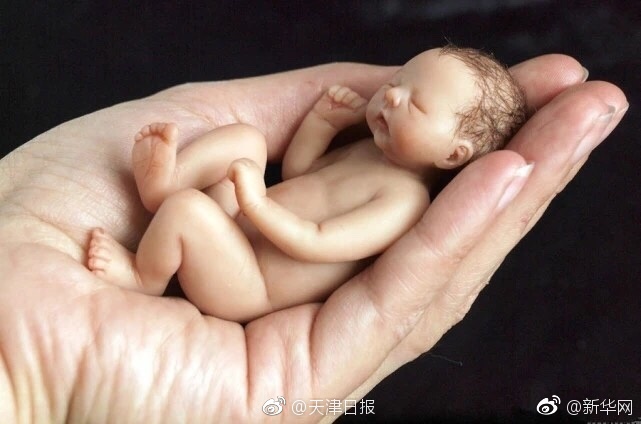 18  脱内衣 动漫网站
