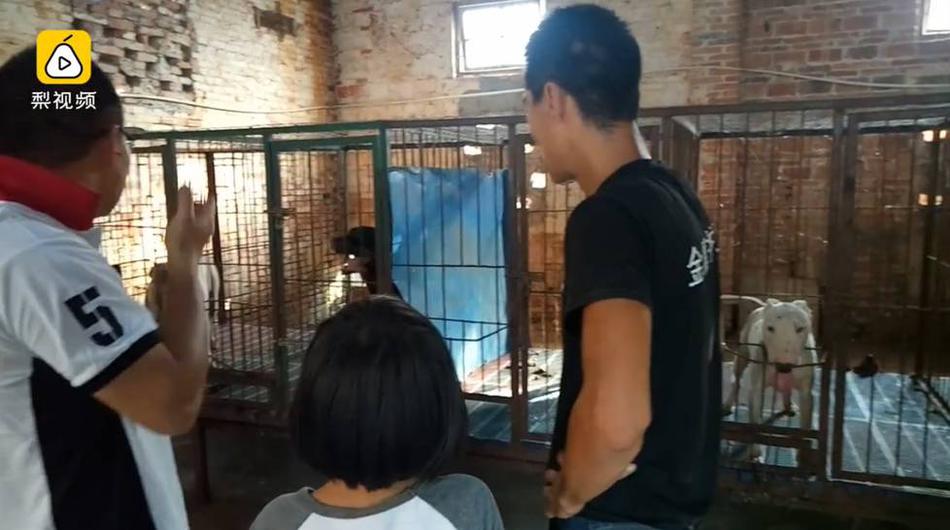 白丝美女被草
