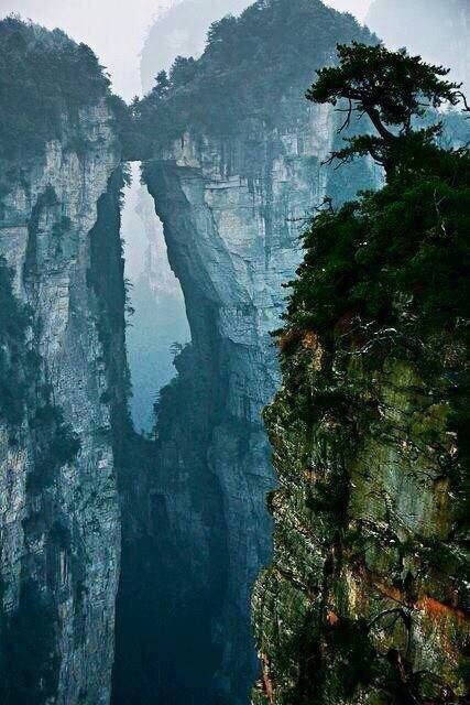 又色又爽