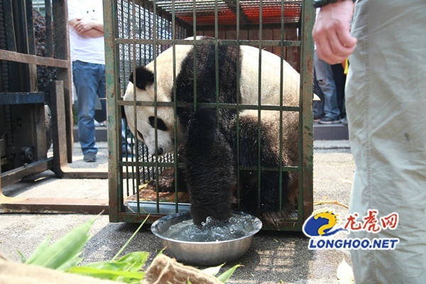 好爽 要了 再深点视频