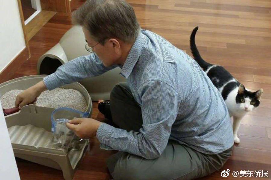 下抖音黄色电影