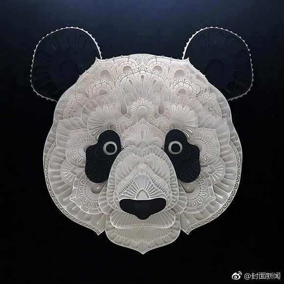 网 红 做爱 视频